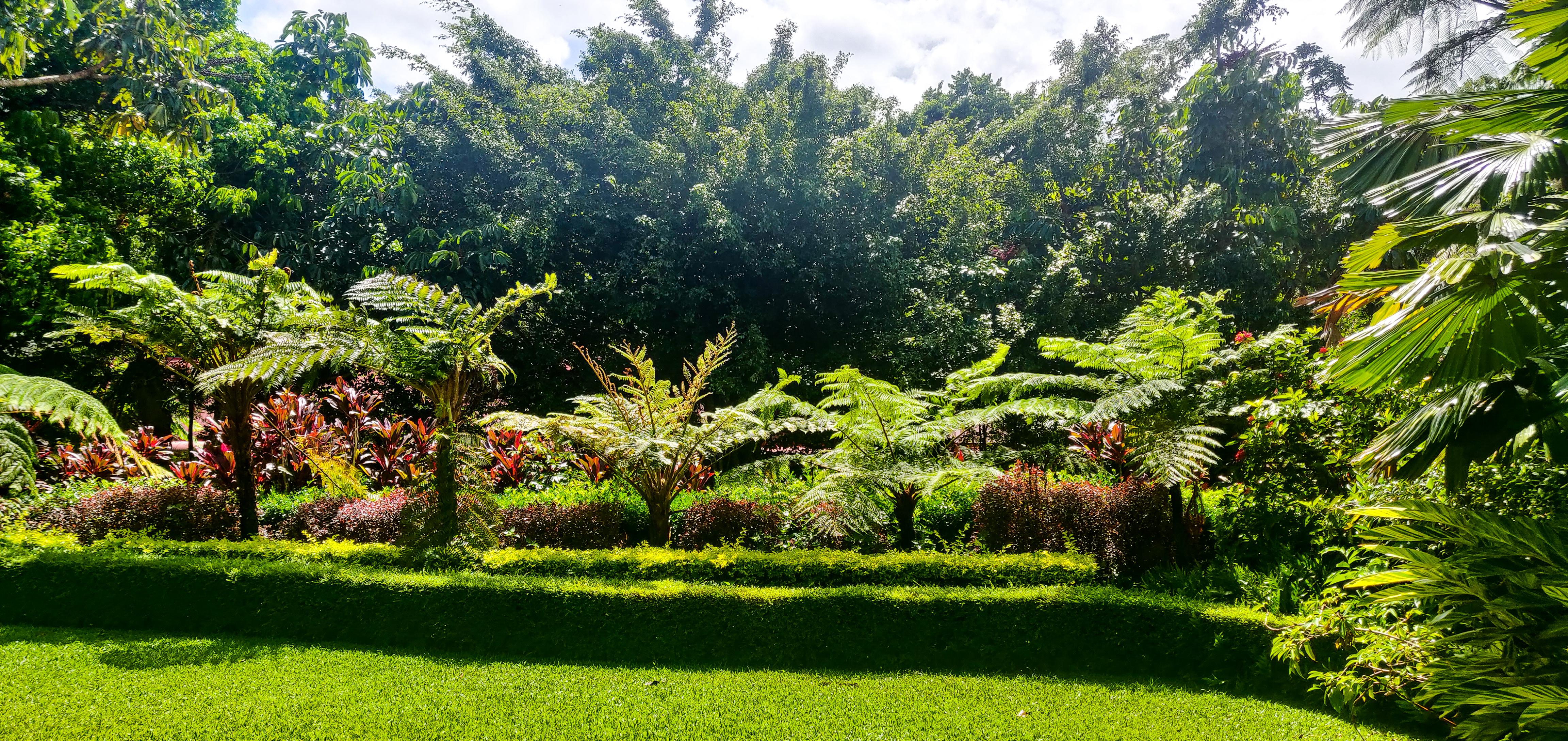 Kuranda